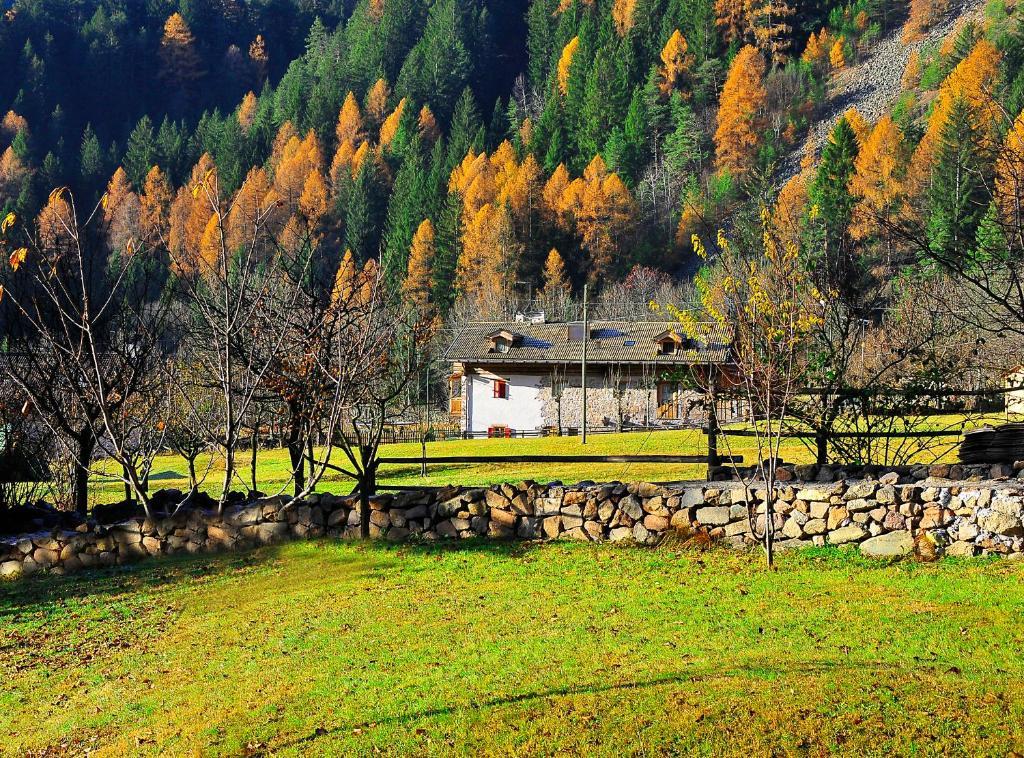 Maso Franceschella Bed & Breakfast Carano  Eksteriør bilde